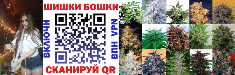 МАРИХУАНА сатива  мега как зайти  Новая Ладога 